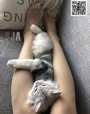 猎户的娇妻H肉辣文_DVD全集免费播放