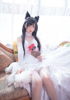 西西人体窝窝仙踪林_1080免费电视剧